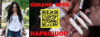 гашик Ирбит