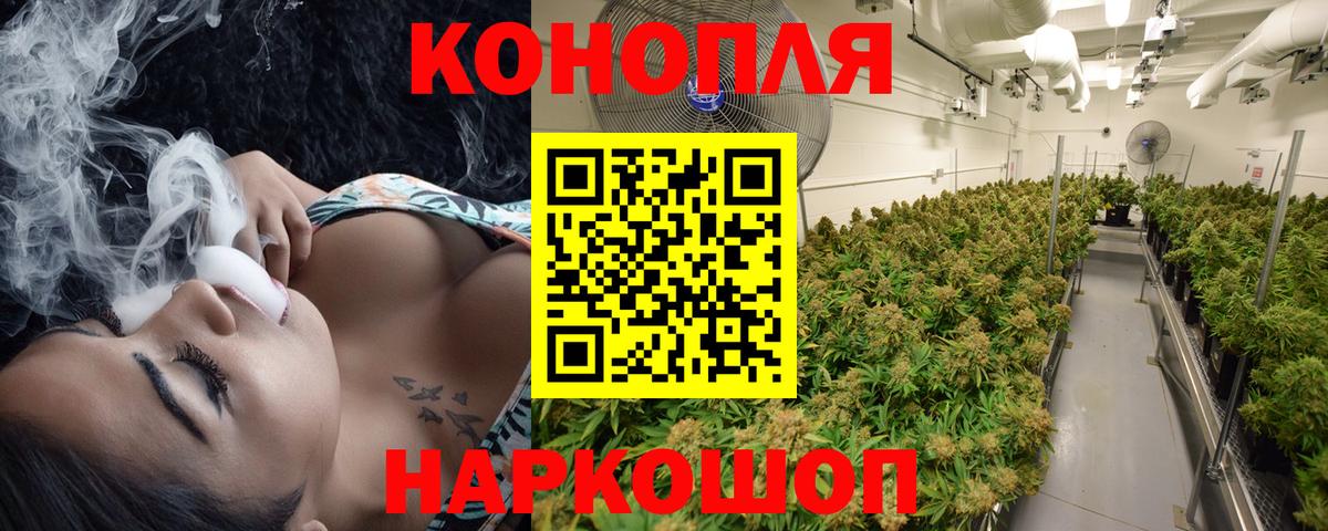 Марихуана SATIVA & INDICA  Конопля индика  Заинск  Вход с VPN  Конопля планчик 